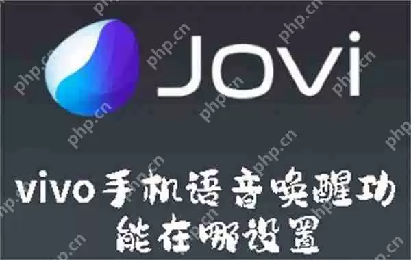 vivo手机语音唤醒功能在哪设置