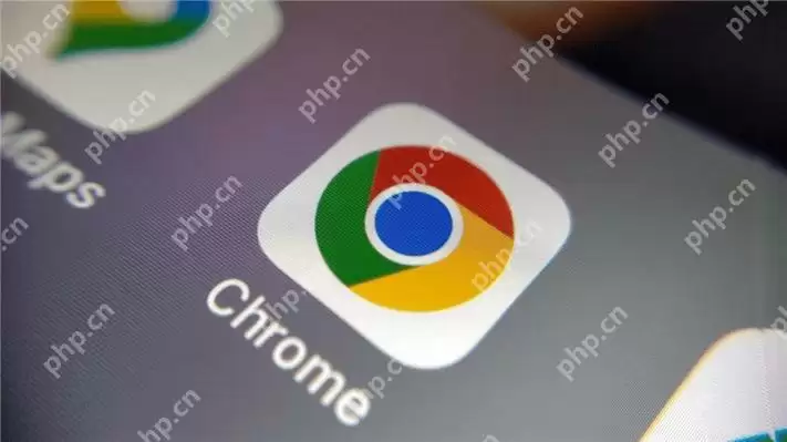 电脑如何下载谷歌浏览器 电脑端获取谷歌浏览器指南