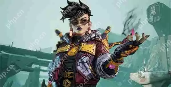 《无主之地4》公布新秘藏猎人“魔女”与“铁骨战士”