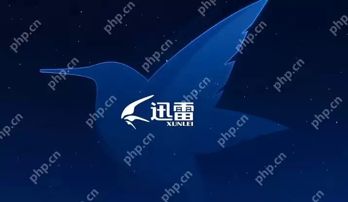 迅雷在线观看免费观看 迅雷在线大片免费观看国产 - 游乐网