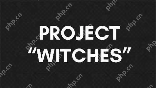 《星刃》团队新作将于6月份公布 代号为“女巫计划”