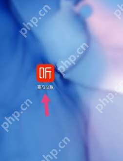 喜马拉雅fm怎么打开私密收听 喜马拉雅fm打开私密收听步骤一览