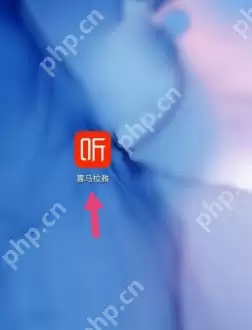 喜马拉雅fm怎么打开私密收听 喜马拉雅fm打开私密收听步骤一览