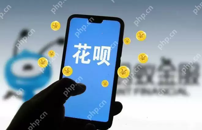 从新手到高手：花呗快速提额的全攻略