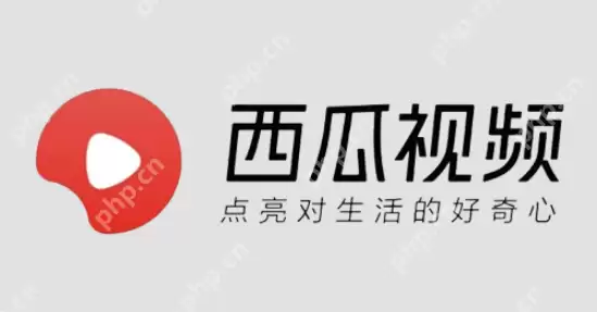 在线观看国产大片网站盘点 免费在线观看国产大片网站推荐 - 游乐网
