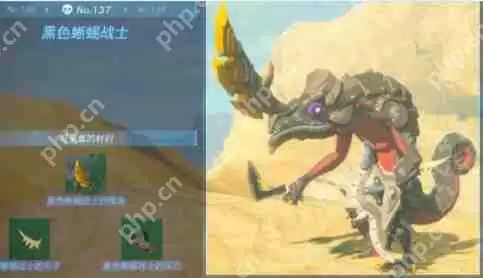 王国之泪黑色蜥蜴战士的尾巴在哪-黑色蜥蜴战士的尾巴位置一览