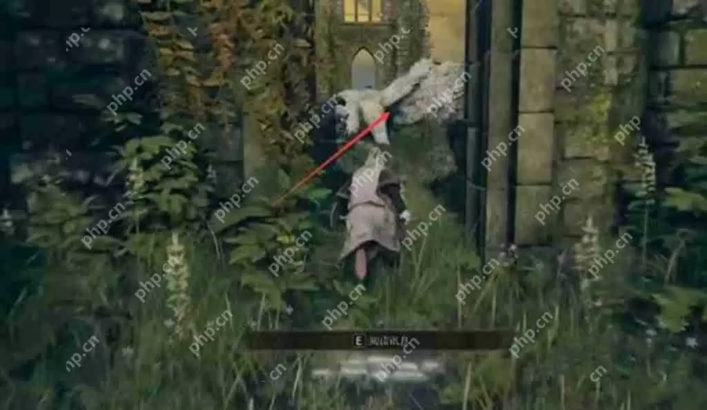 艾尔登法环龙飨教堂在哪里