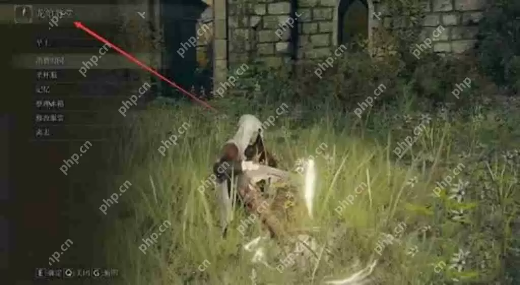 艾尔登法环龙飨教堂在哪里