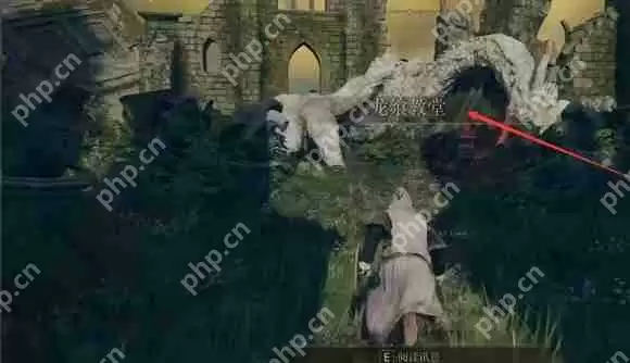 艾尔登法环龙飨教堂在哪里