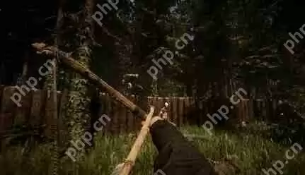 森林2作弊码一览