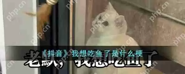 我想吃鱼了梗百科