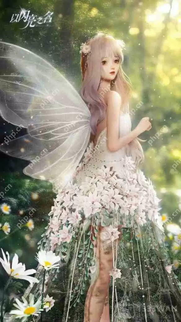 以闪亮之名梦里花落知多少套装介绍-梦里花落知多少细节展示