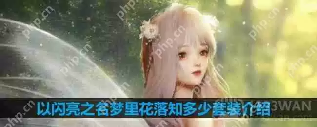 以闪亮之名梦里花落知多少套装介绍-梦里花落知多少细节展示