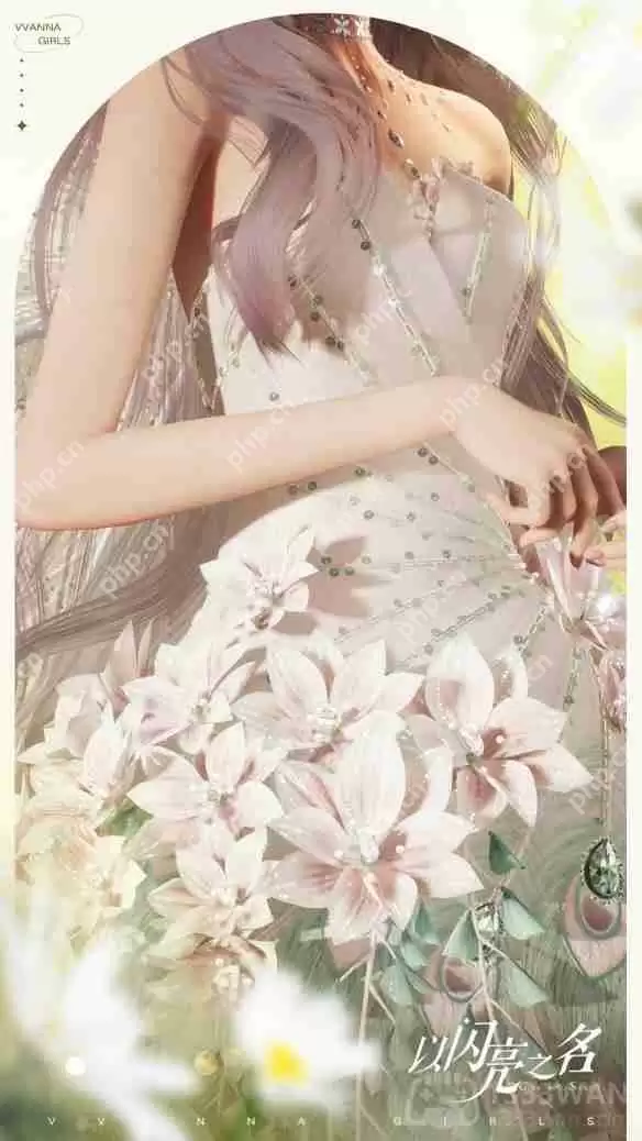 以闪亮之名梦里花落知多少套装介绍-梦里花落知多少细节展示