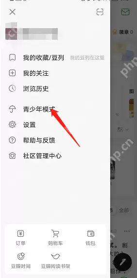 豆瓣青少年模式如何设置
