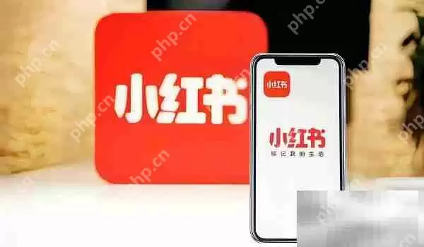 小红书商家版和普通版区别介绍