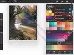 procreate如何取色