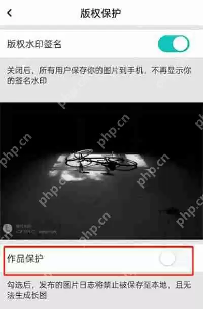 LOFTER作品保护在哪开启