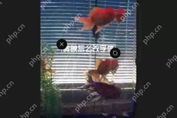 剪映软件怎么修改文字字体