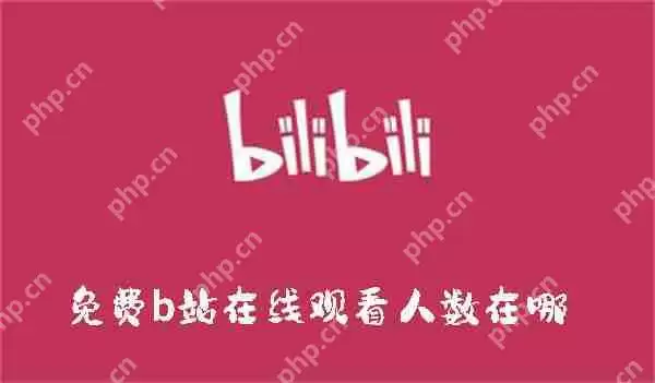 免费b站在线观看人数在哪
