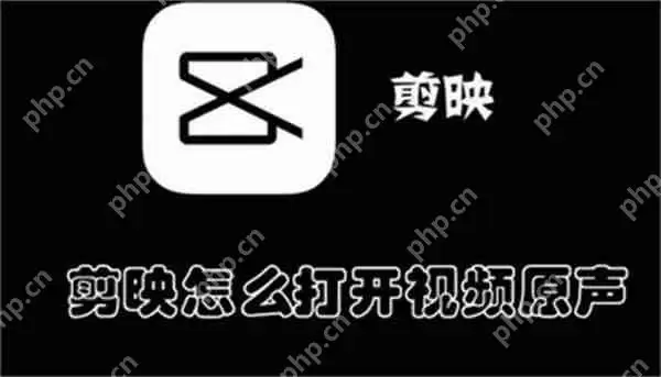 剪映怎么打开视频原声