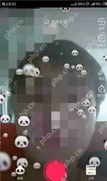 抖音上打喷嚏变熊猫怎么拍摄 打喷嚏变熊猫方式一览