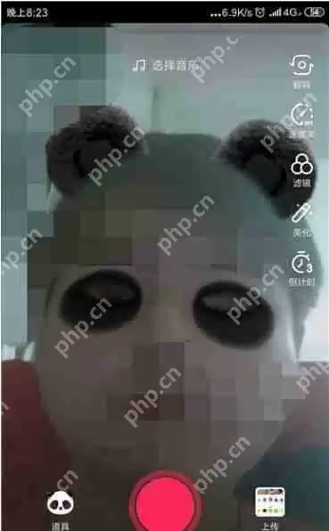 抖音上打喷嚏变熊猫怎么拍摄 打喷嚏变熊猫方式一览