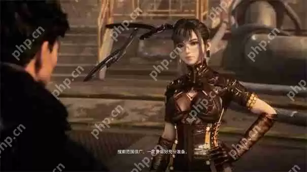 剑星PC版有D加密吗