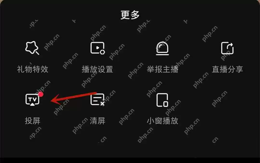 小红书直播怎么投屏?小红书直播投屏教程
