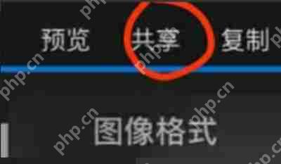ProcreatePocket怎么导出图片