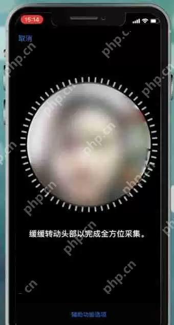 苹果手机设置面容id不能用怎么处理?处理面容id不能用的方法说明
