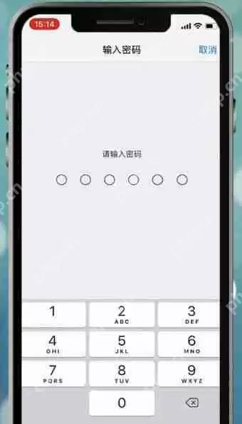 苹果手机设置面容id不能用怎么处理？处理面容id不能用的方法说明