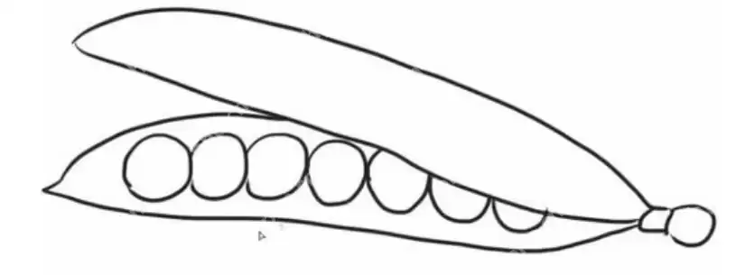 qq画图红包豌豆怎么画?QQ画图红包所有图案画法汇总