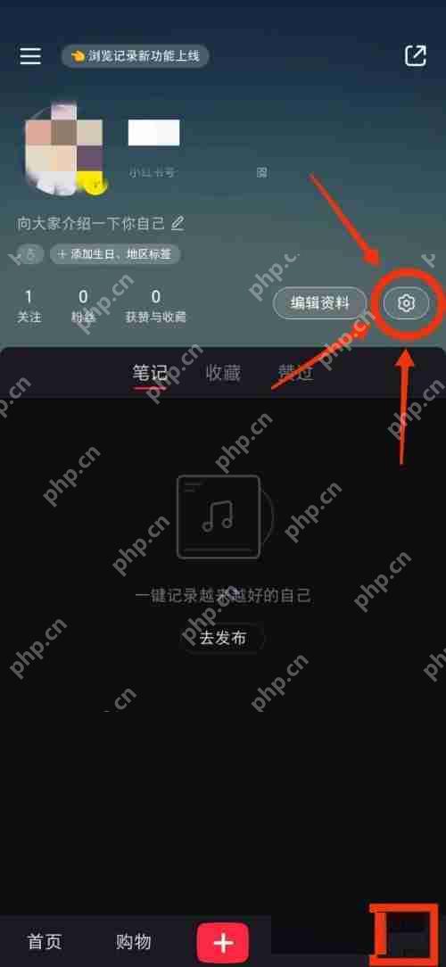 小红书通用设置在哪里