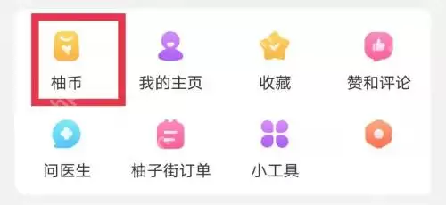 美柚怎么查看柚币明细?美柚查看柚币明细的方法