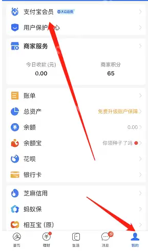 支付宝祝大年四时花镜皮肤怎么获得
