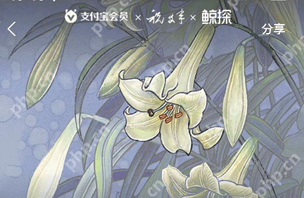 支付宝祝大年四时花镜皮肤怎么获得