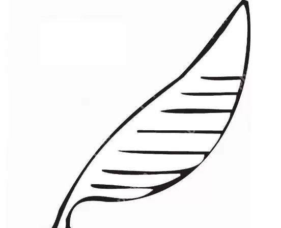 QQ画图红包怎么画羽毛 QQ画图红包羽毛画法一览 