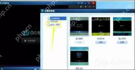 QQ影音自定义皮肤怎么弄 自定义皮肤设置方法一览