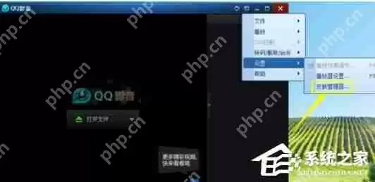 QQ影音自定义皮肤怎么弄 自定义皮肤设置方法一览