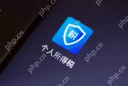 个人所得税app怎么查看工资