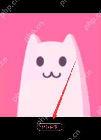 半次元APP怎么设置头像？半次元设置头像方法分享