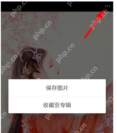 堆糖如何设置壁纸？设置手机壁纸方法介绍