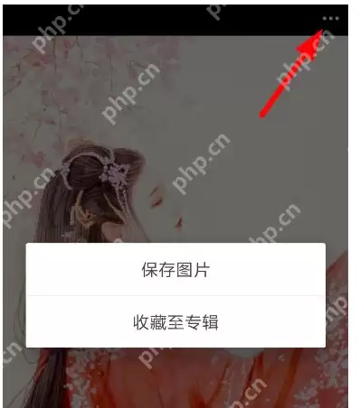 堆糖如何设置壁纸？设置手机壁纸方法介绍