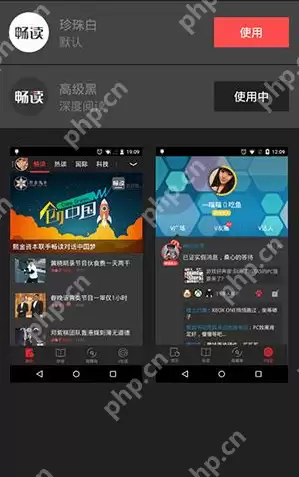 VIVA畅读怎么设置主题？设置主题的操作流程分享