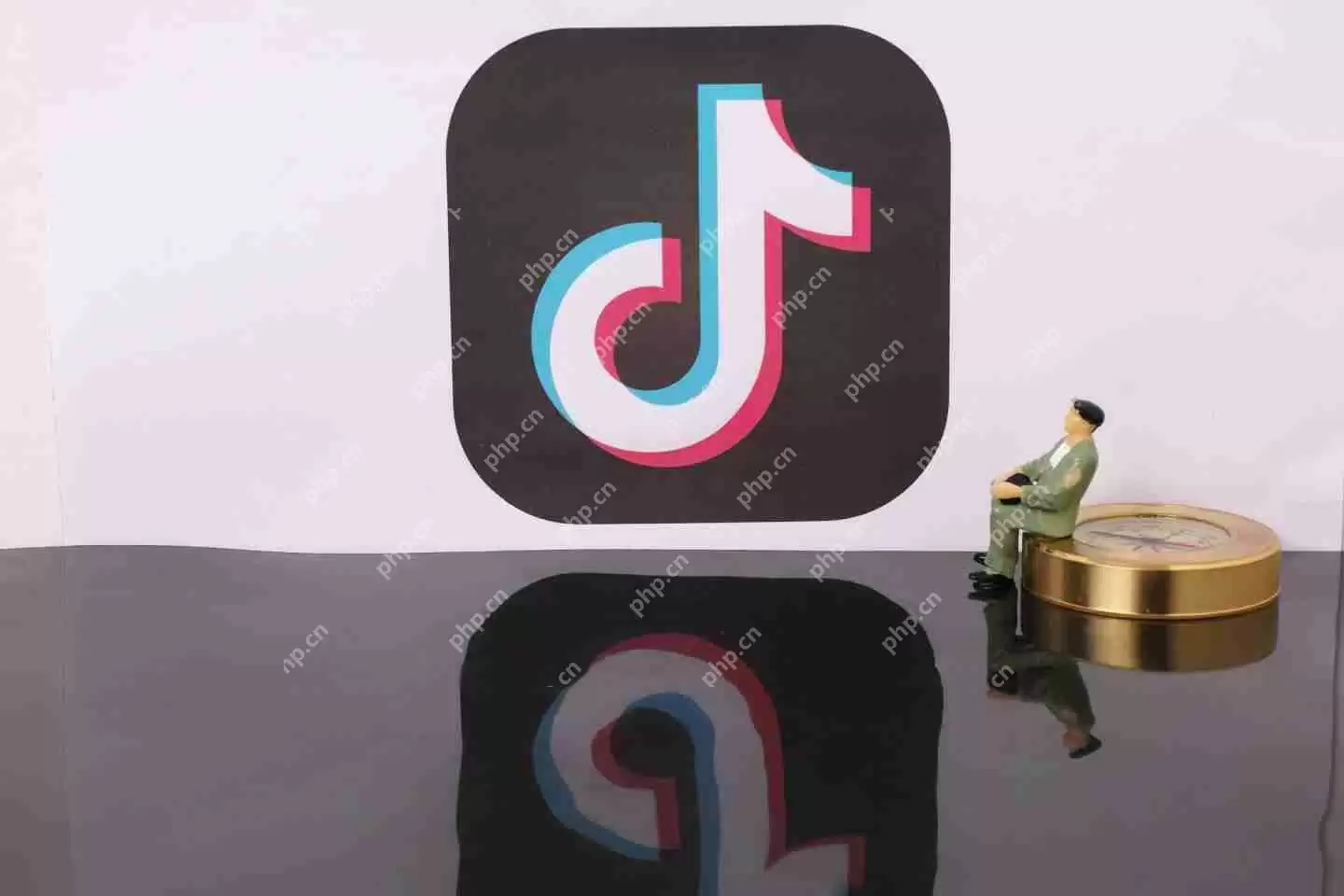 抖音拍同款记录什么意思