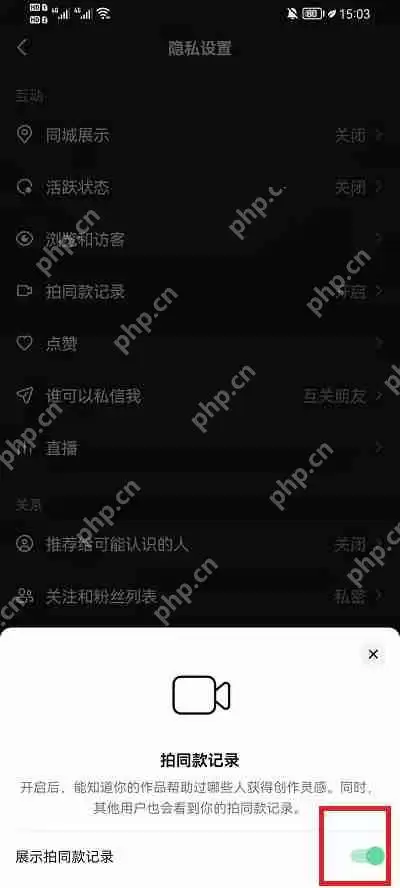 抖音拍同款记录什么意思