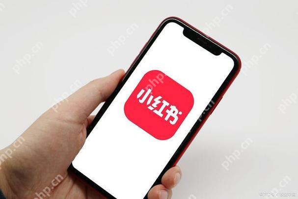 小红书怎么关注对方 关注他人账号的方法分享