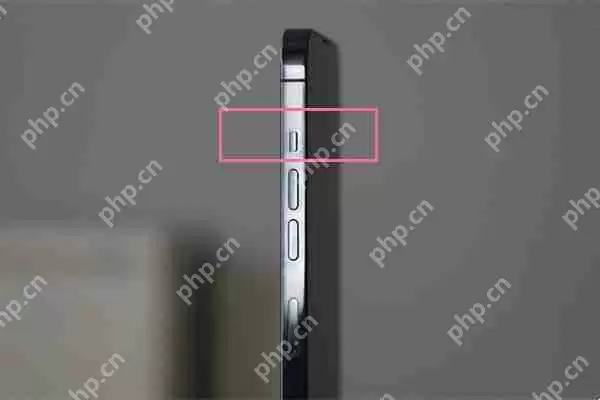 苹果14静音怎么启动