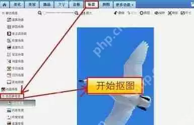 美图秀秀怎么更换照片底色？美图秀秀更换照片底色步骤分享